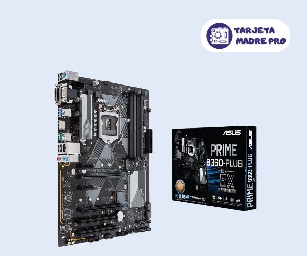 ASUS PRIME B360-PLUS