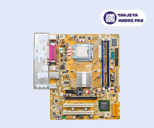 Intel DG41WV